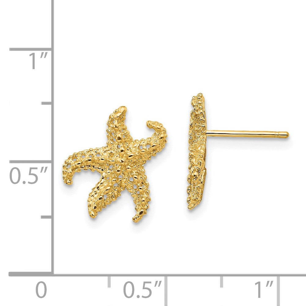 14K Gelbgold Seestern Ohrringe