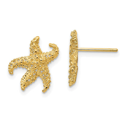 14K Gelbgold Seestern Ohrringe