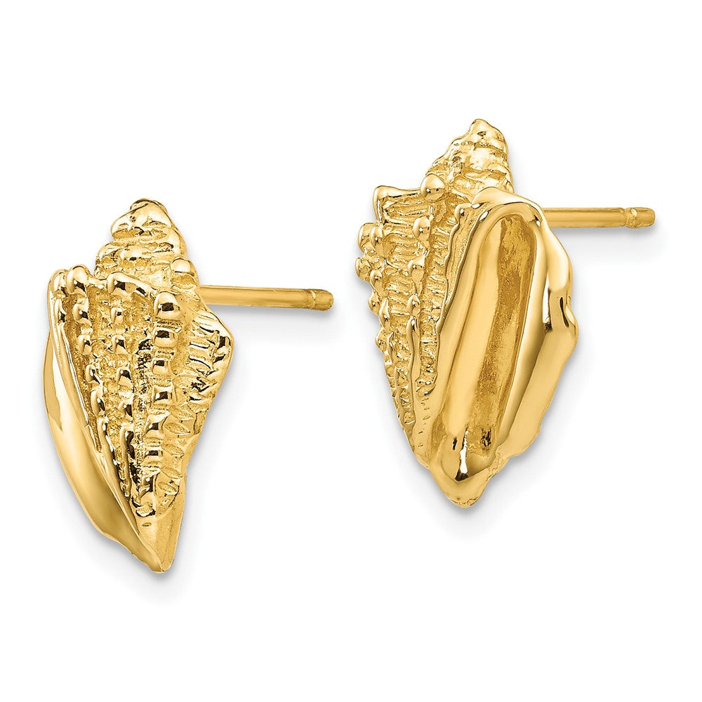 14K Gelbgold Conch Muschel Ohrringe