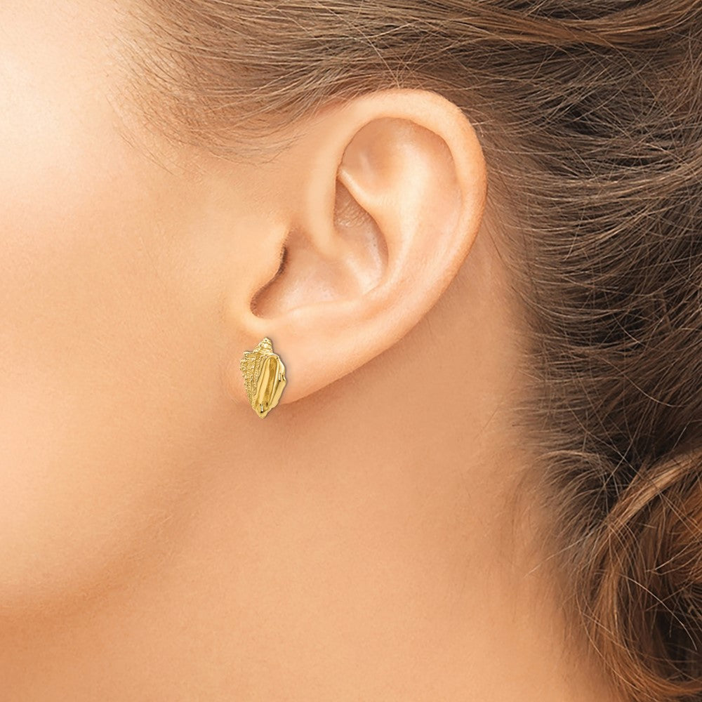 14K Gelbgold Conch Muschel Ohrringe