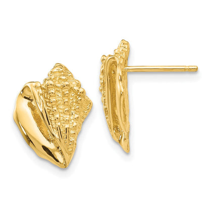 14K Gelbgold Conch Muschel Ohrringe