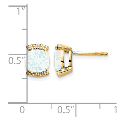 Massiv 14K Gelbgold Erzeugt Synthetisch Opal Ohrstecker