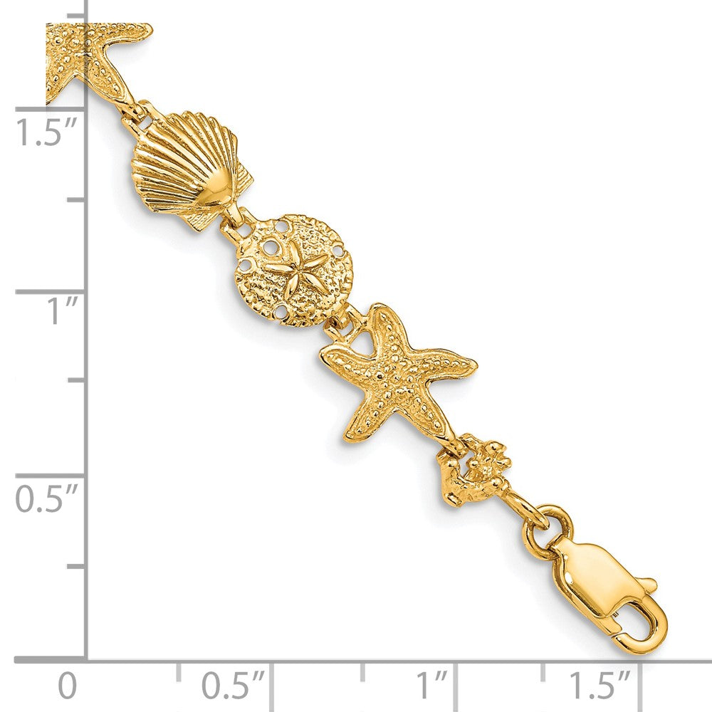7.5 Zoll 14K Seashell Theme Armband
