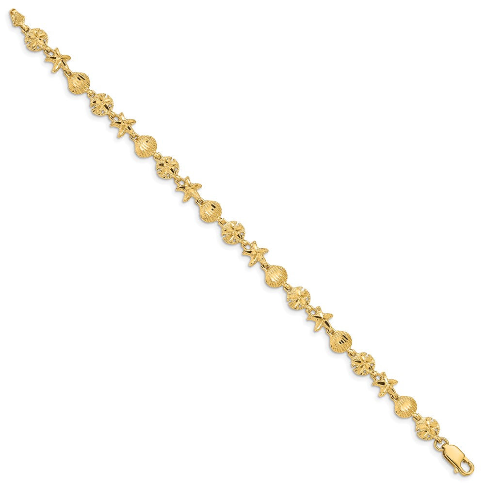 7 Zoll 14K Seestern, Sand Dollar und Muschel Armband