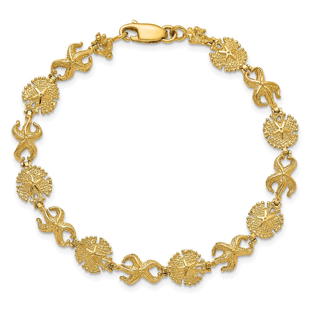7 Zoll 14K Seestern /sand Dollar Armband