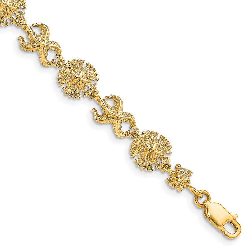 7 Zoll 14K Seestern /sand Dollar Armband