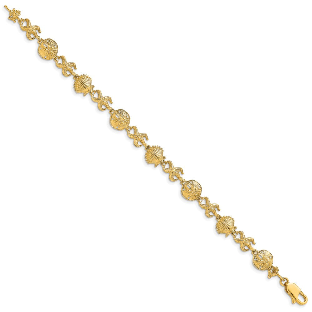 7 Zoll 14K Muschel, Sand Dollar, Seestern Armband
