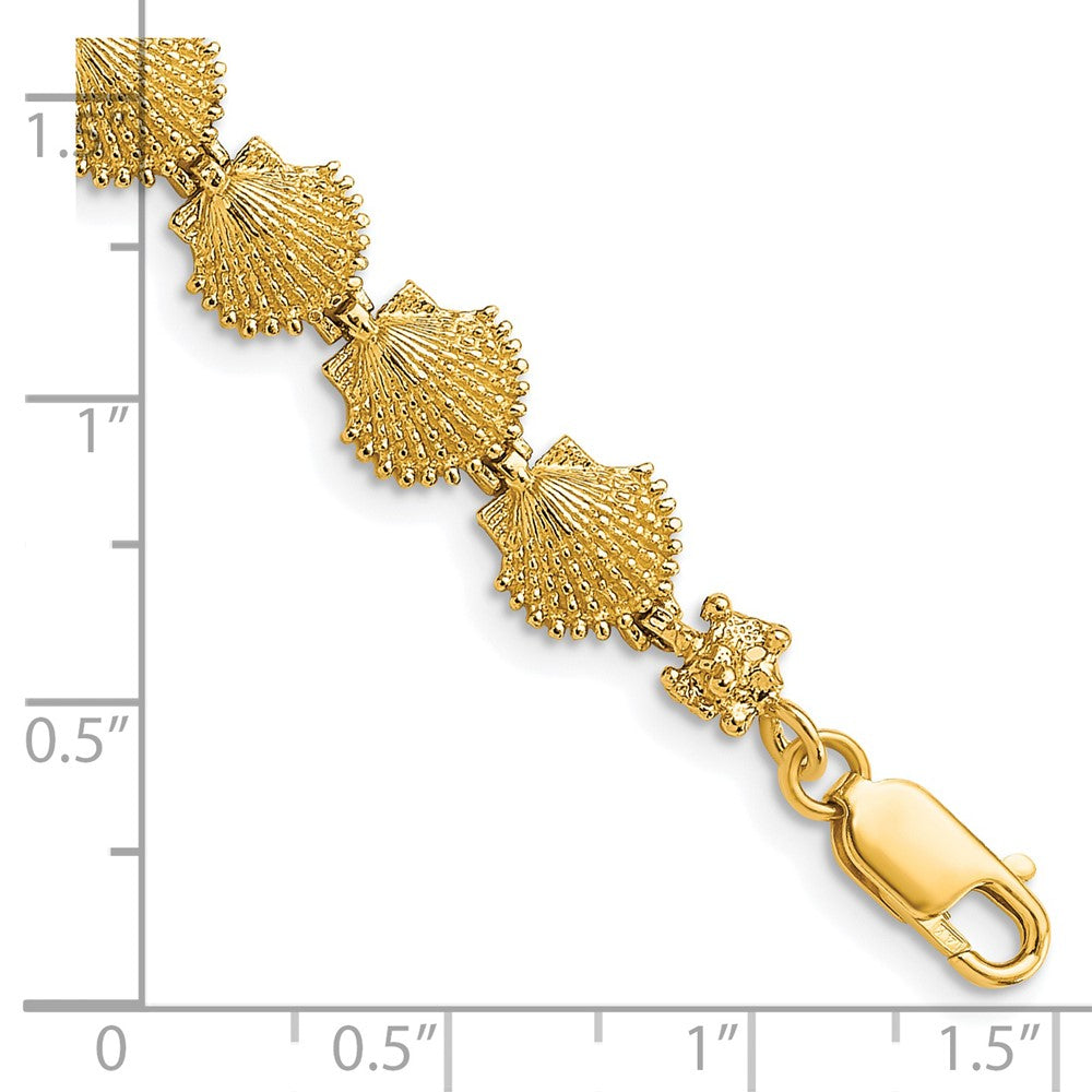 7 Zoll 14K Muschel Armband