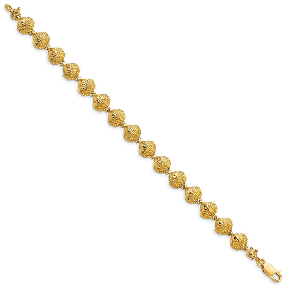 7 Zoll 14K Muschel Armband