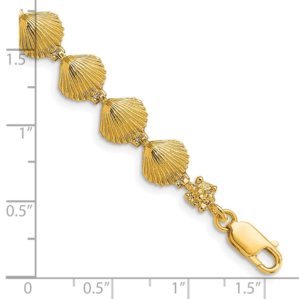 7 Zoll 14K Muschel Armband