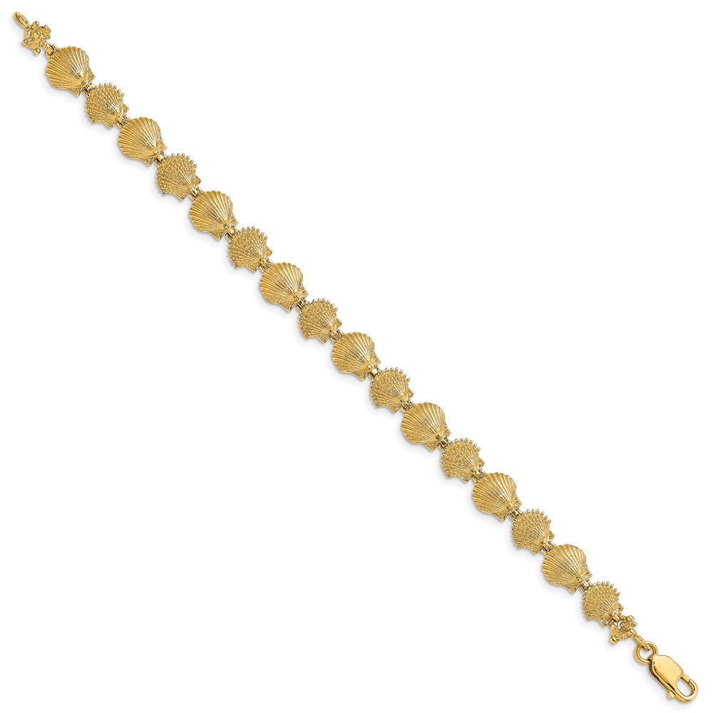 7 Zoll 14K Poliert /textured Muschel Armband