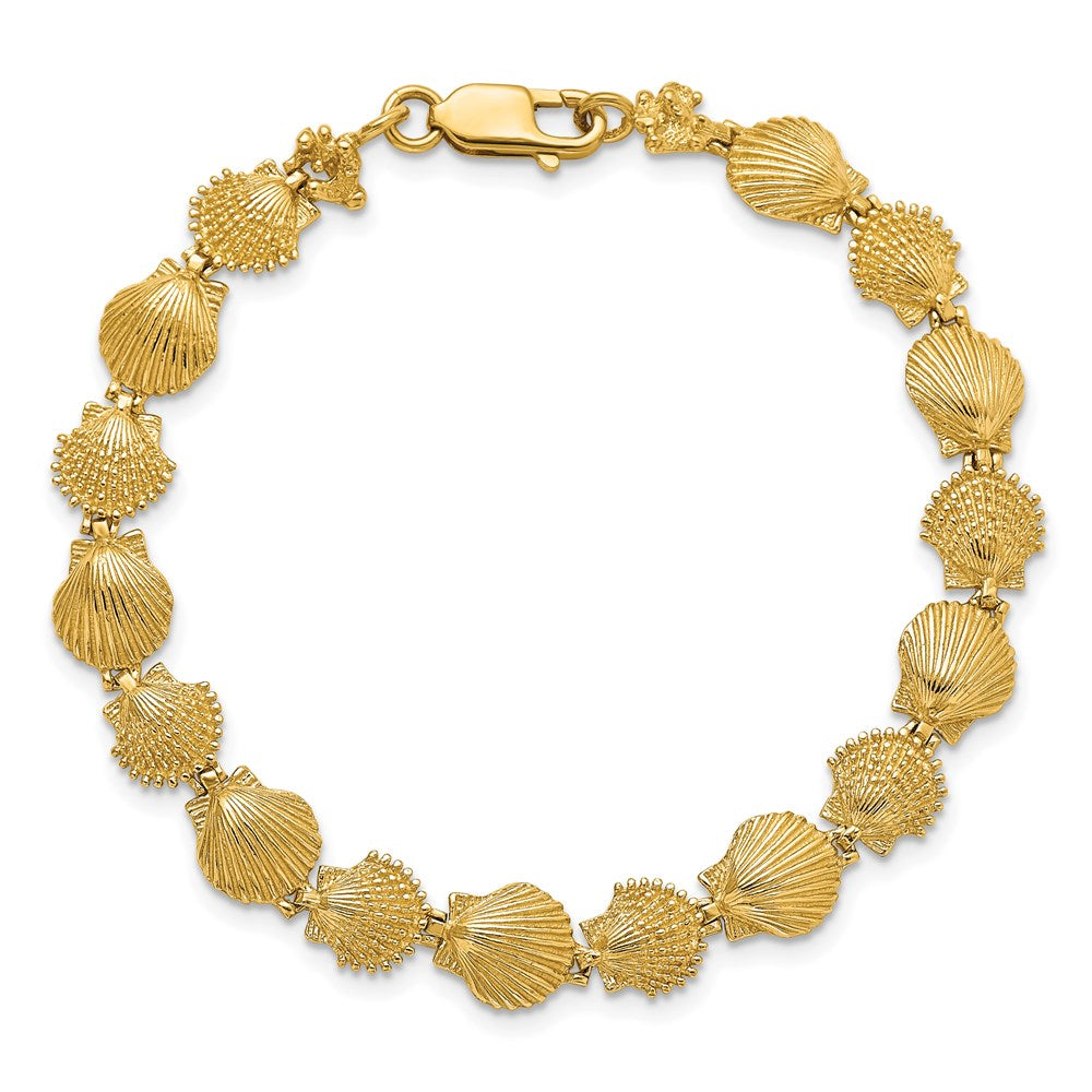7 Zoll 14K Poliert /textured Muschel Armband