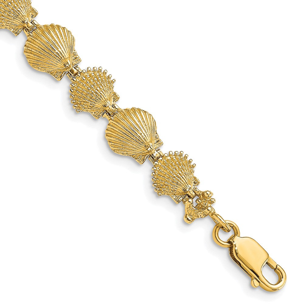 7 Zoll 14K Poliert /textured Muschel Armband