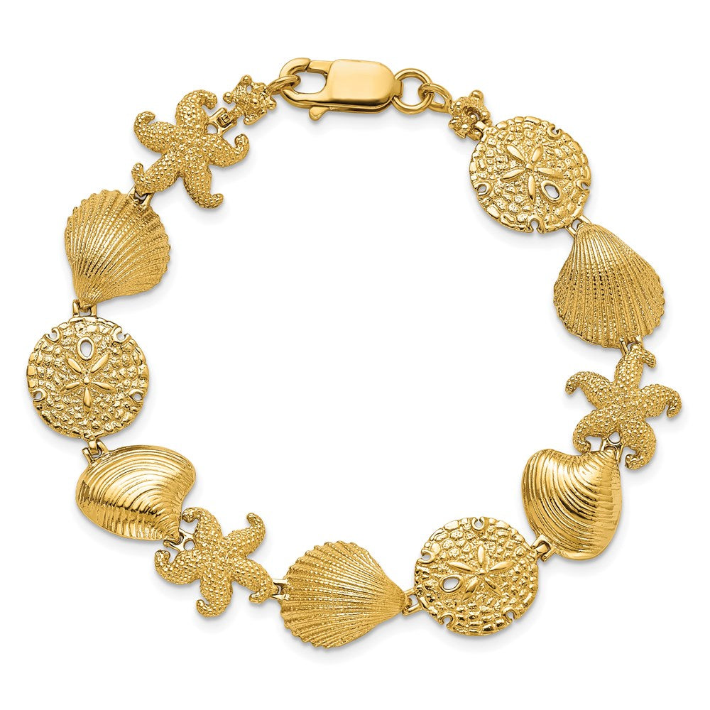 7.5 Zoll 14K Seestern, Muschel, Clam Glieder Armband