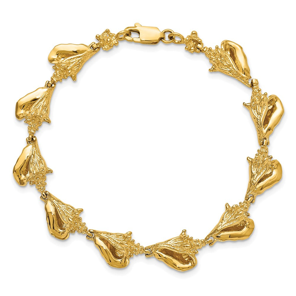 7.25 Zoll 14K 3-d Conch Muschel Glieder Armband