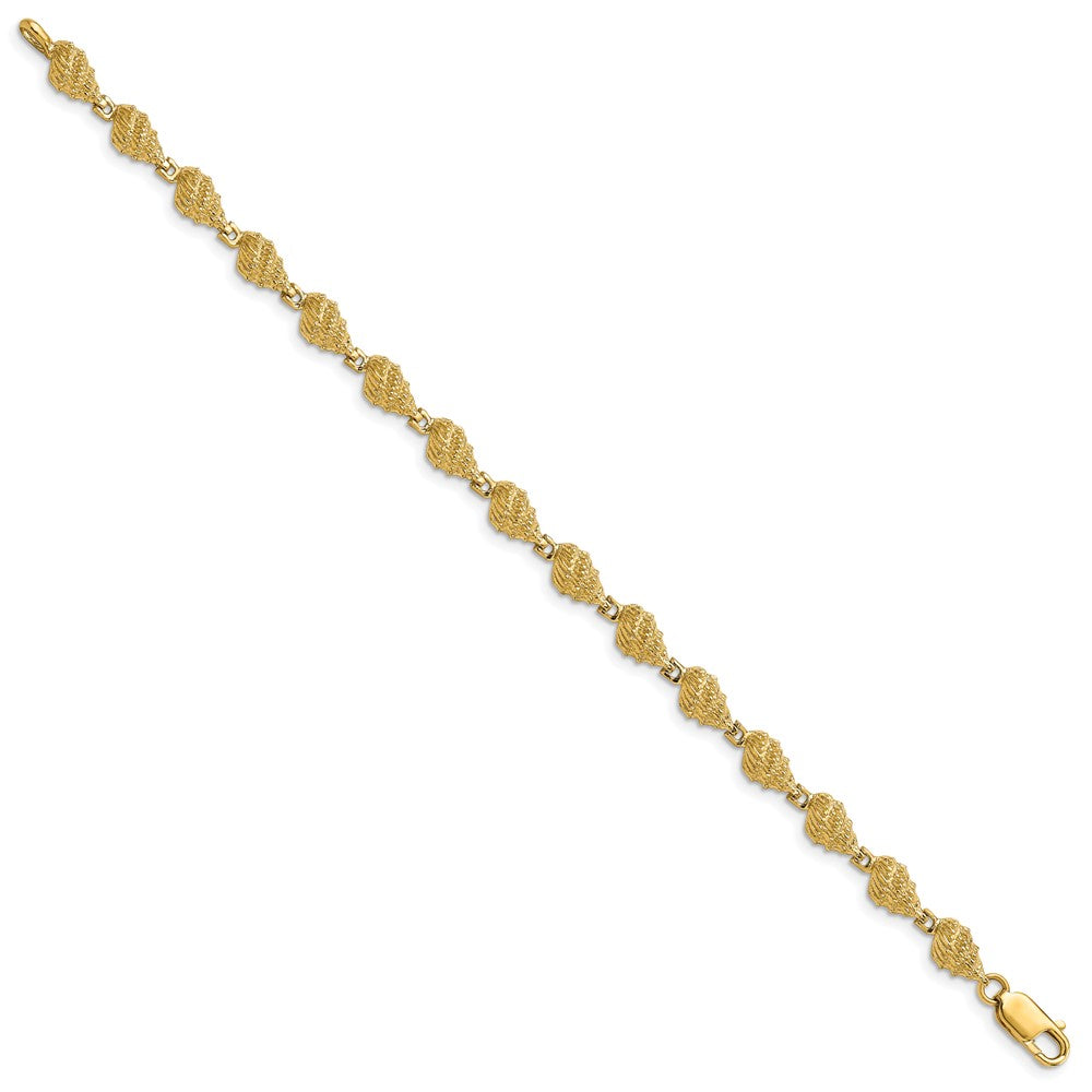 7 Zoll 14K Conch Muschel Armband