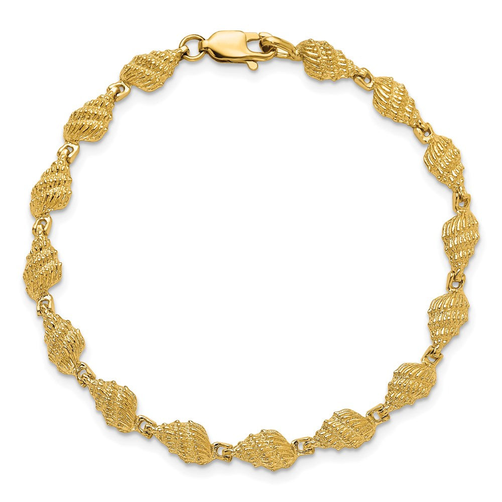 7 Zoll 14K Conch Muschel Armband