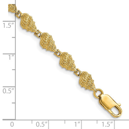 7 Zoll 14K Conch Muschel Armband
