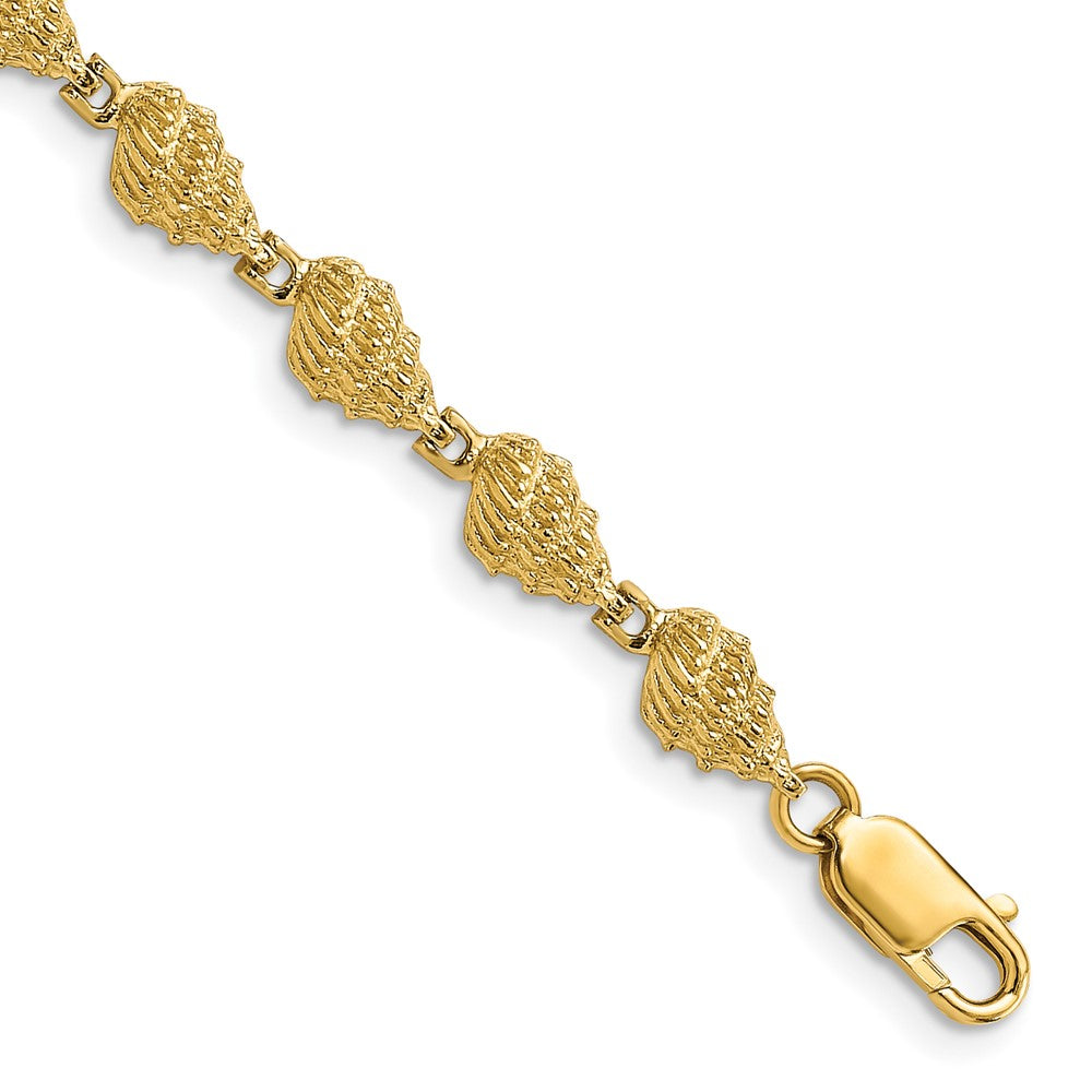 7 Zoll 14K Conch Muschel Armband