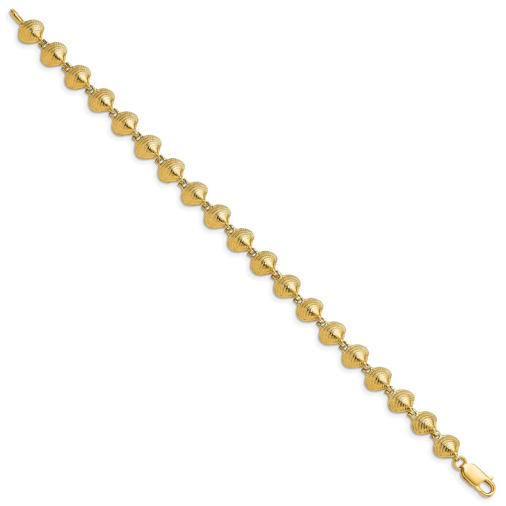 7 Zoll 14K Clam Muschel Armband