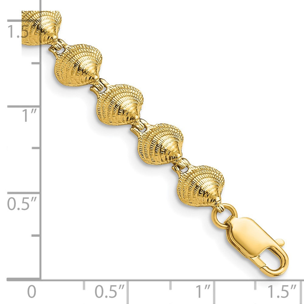 7 Zoll 14K Clam Muschel Armband