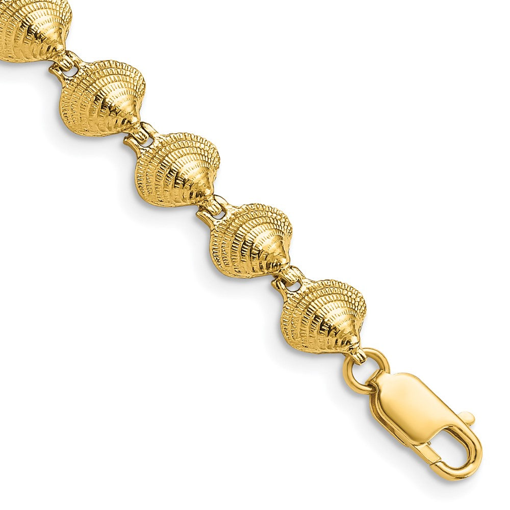7 Zoll 14K Clam Muschel Armband