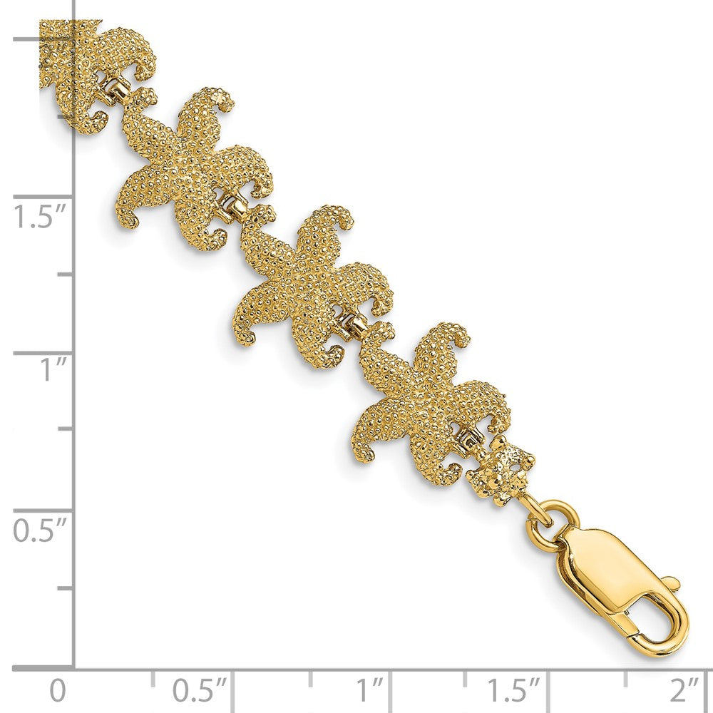 7.25 Zoll 14K Gewölbt Seestern Glieder Armband
