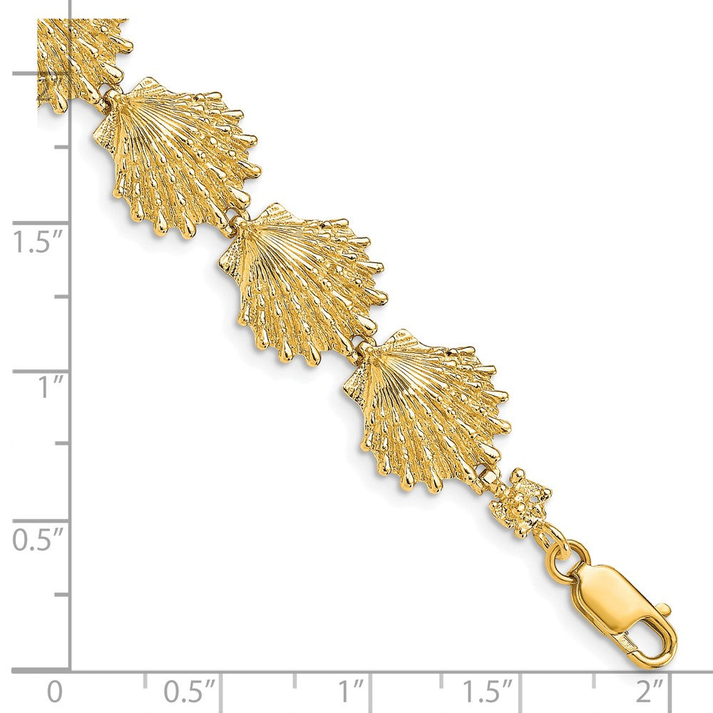 7 Zoll 14K Löwe Paw Muschel Armband