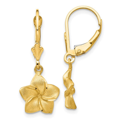 14K Gelbgold Satiniert & Diamantiert Plumeria Hängend Ohrhänger mit Brisur