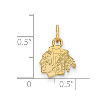 10K Gelbgold Nhl Logoart Chicago Blackhawks Extra Klein Anhänger