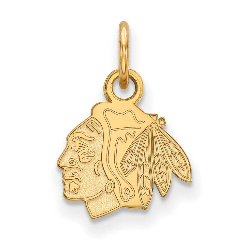 10K Gelbgold Nhl Logoart Chicago Blackhawks Extra Klein Anhänger