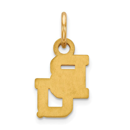 10K Gelbgold Logoart Baylor University Bears Extra Klein Anhänger