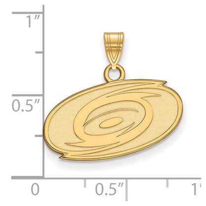10K Gelbgold Nhl Logoart Carolina Hurricanes Klein Anhänger