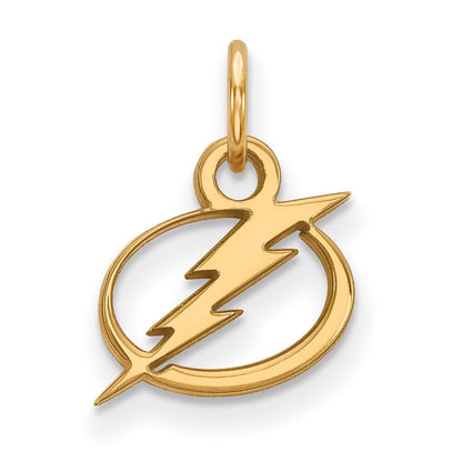 10K Gelbgold Nhl Logoart Tampa Bay Blitz Extra Klein Anhänger