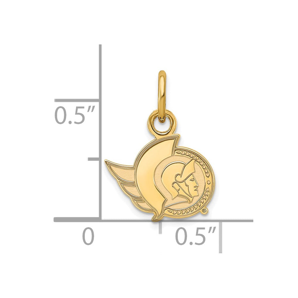 10K Gelbgold Nhl Logoart Ottawa Senators Extra Klein Anhänger
