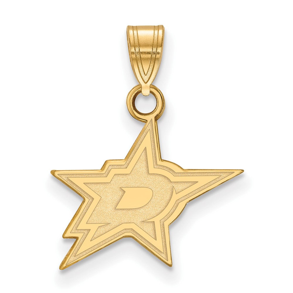 10K Gelbgold Nhl Logoart Dallas Sterne Klein Anhänger