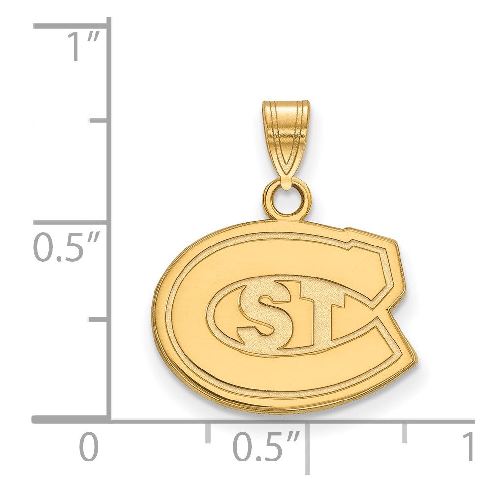 10K Gelbgold Logoart St. Cloud State University Klein Anhänger