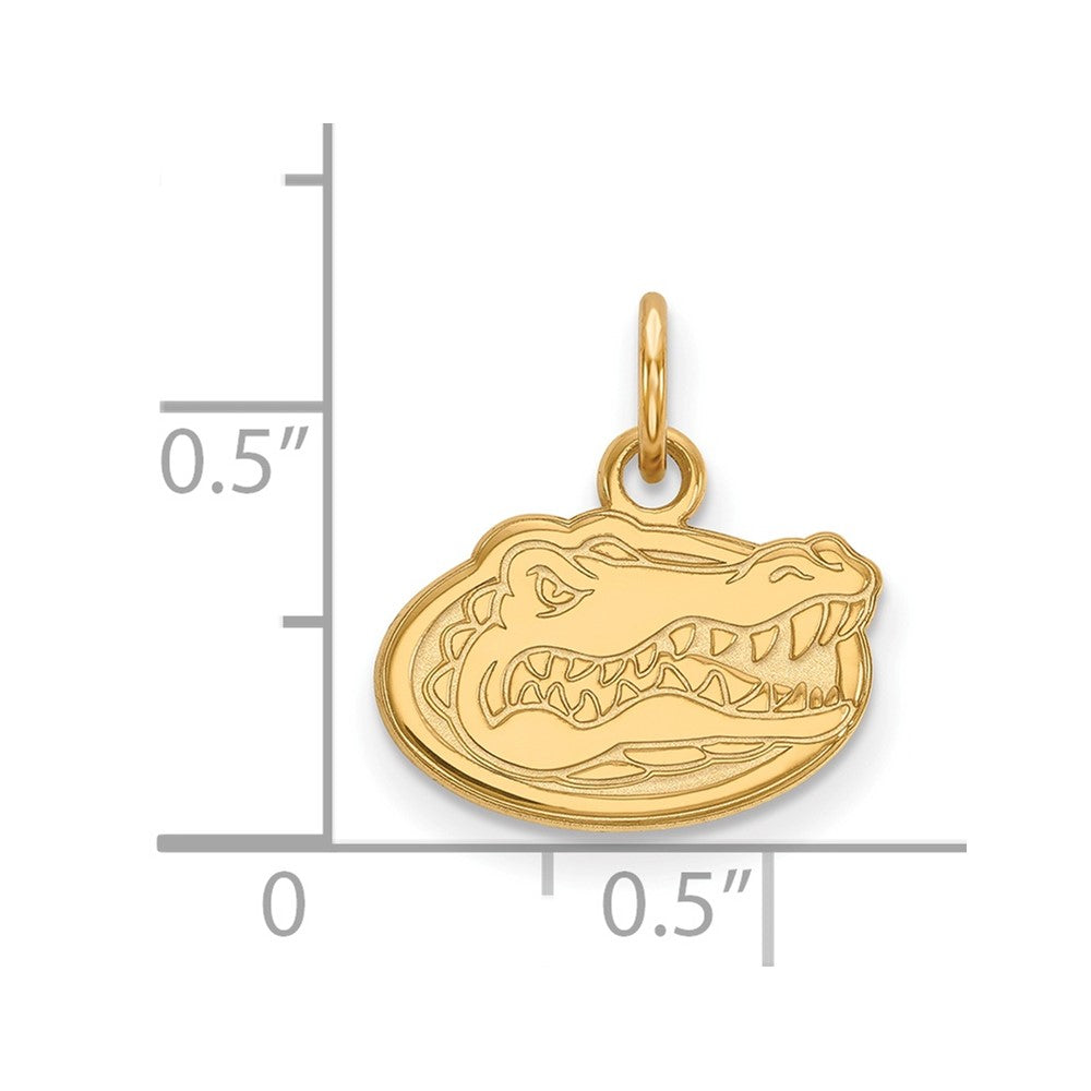 10K Gelbgold Logoart University Of Florida Gator Extra Klein Anhänger