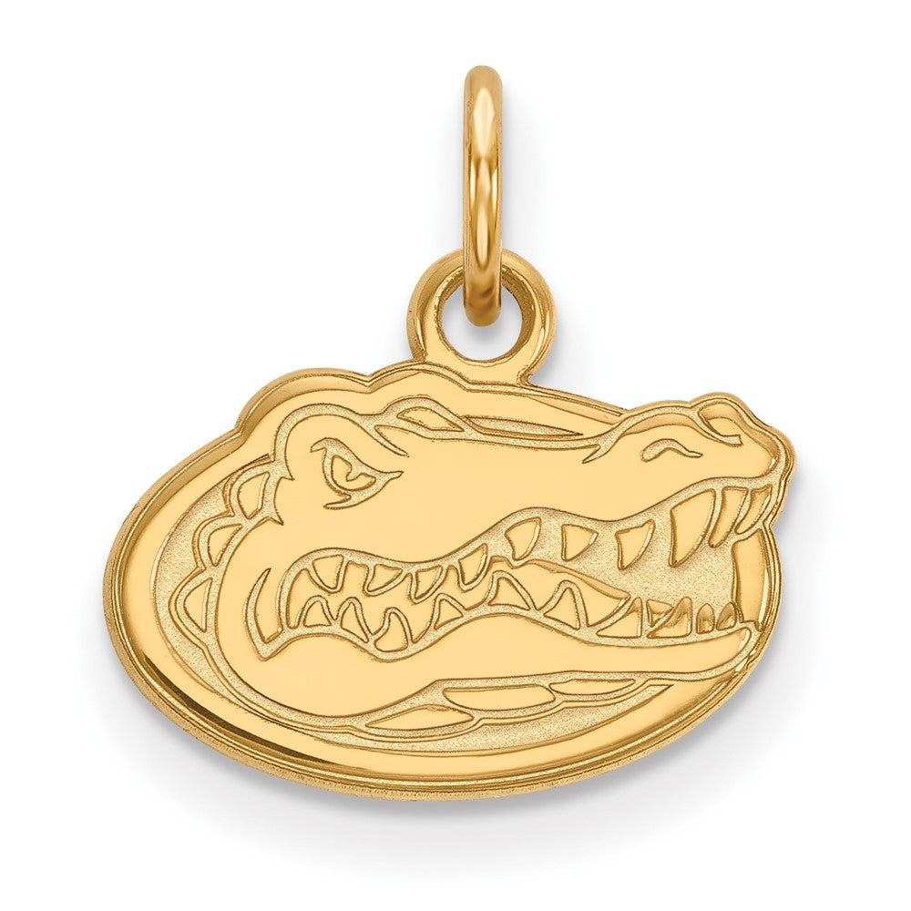 10K Gelbgold Logoart University Of Florida Gator Extra Klein Anhänger