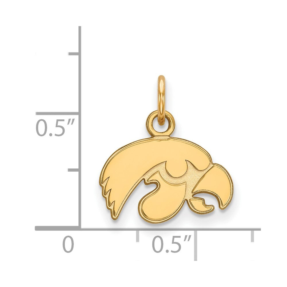 10K Gelbgold Logoart University Of Iowa Hawk Extra Klein Anhänger