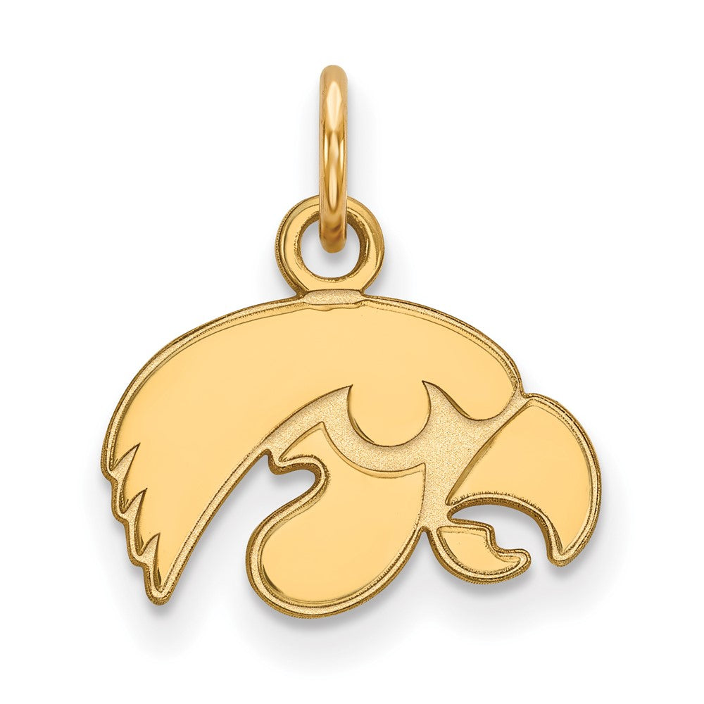 10K Gelbgold Logoart University Of Iowa Hawk Extra Klein Anhänger