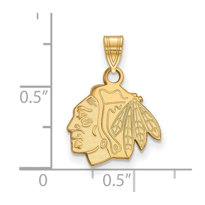 Vergoldet Sterlingsilber Nhl Logoart Chicago Blackhawks Klein Anhänger