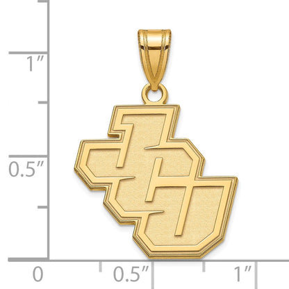 10K Gelbgold Logoart John Carroll University Mittel Anhänger