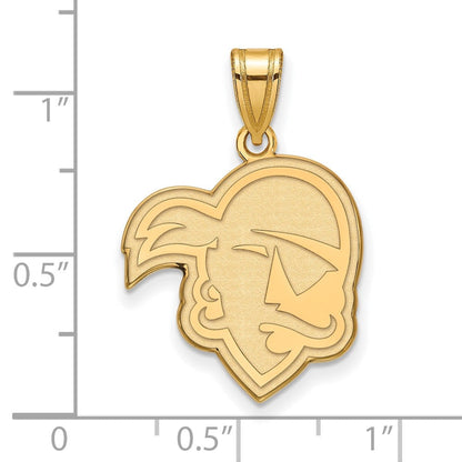 10K Gelbgold Logoart Seton Hall University Pirat Groß Anhänger