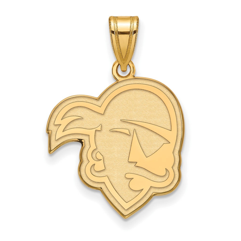 10K Gelbgold Logoart Seton Hall University Pirat Groß Anhänger
