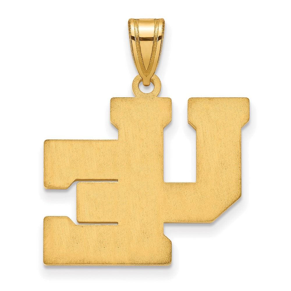 10K Gelbgold Logoart University Of Evansville Lila Aces Groß Anhänger