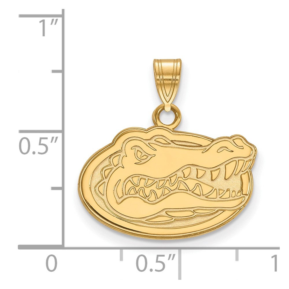 10K Gelbgold Logoart University Of Florida Gator Klein Anhänger