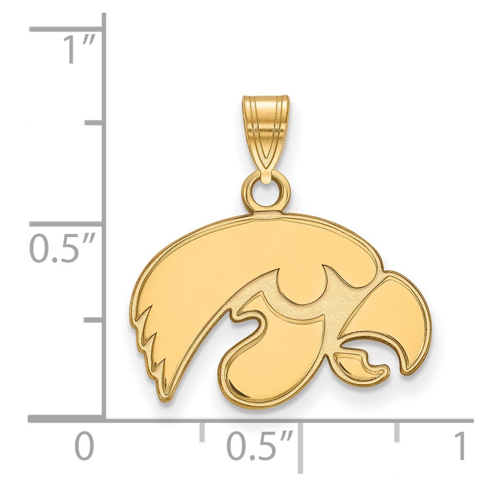 10K Gelbgold Logoart University Of Iowa Hawk Klein Anhänger