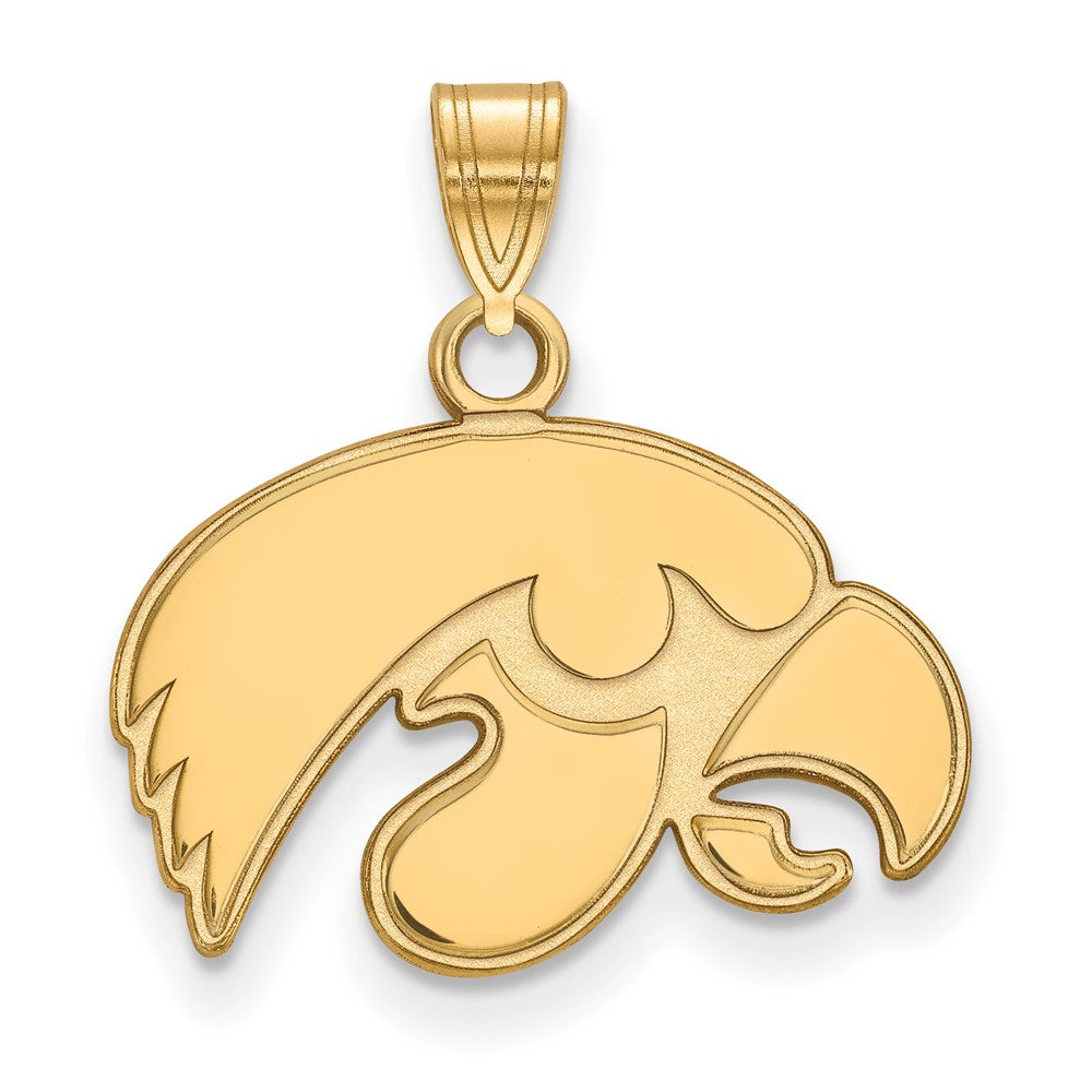 10K Gelbgold Logoart University Of Iowa Hawk Klein Anhänger