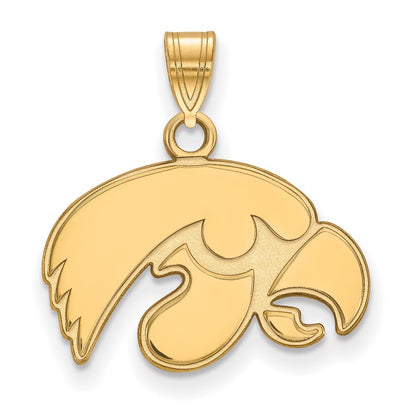10K Gelbgold Logoart University Of Iowa Hawk Klein Anhänger